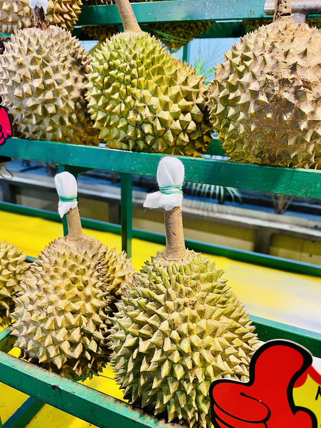 “Fruitastic Delights, Earth-Friendly Bites”