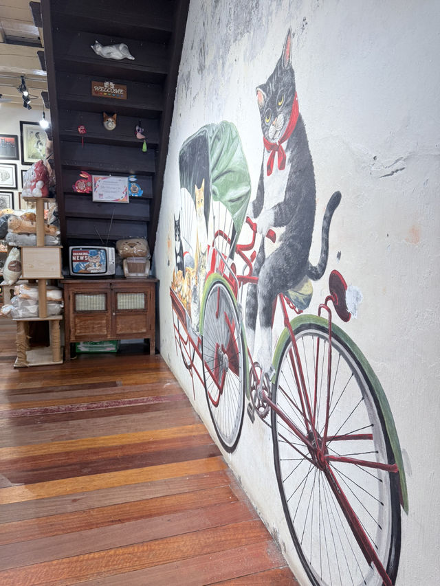 📍The Heritage Cat ร้านน่ารักๆสำหรับทาสแมว🐈‍⬛