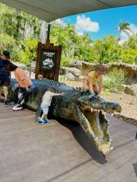 [オーストラリア観光] オーストラリア動物園 in QLD
