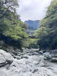 【日本三大秘境】祖谷のかずら橋