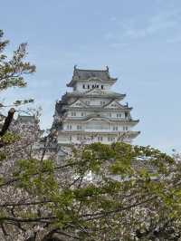 A Journey Through Innovation, History, and Beauty: Kansai and Beyond