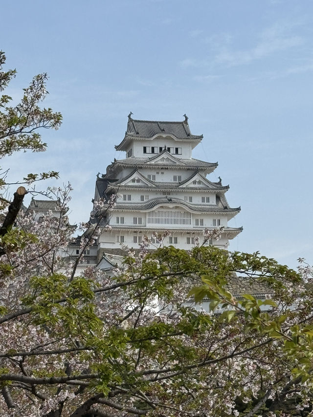 A Journey Through Innovation, History, and Beauty: Kansai and Beyond