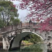 Must-visit natural paradise in Hangzhou 🌸 