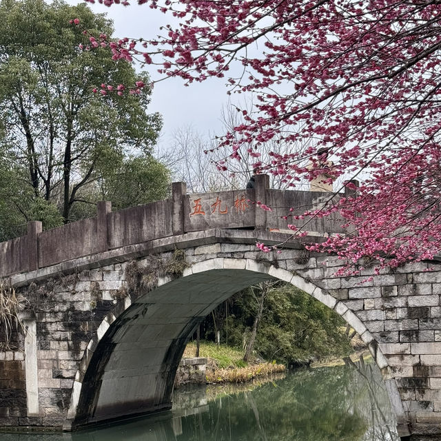 Must-visit natural paradise in Hangzhou 🌸 