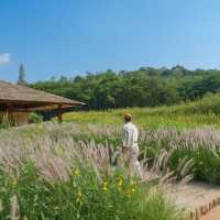 เปิดประสบการณ์ชมงานศิลป์กลางป่าใหญ่🌿