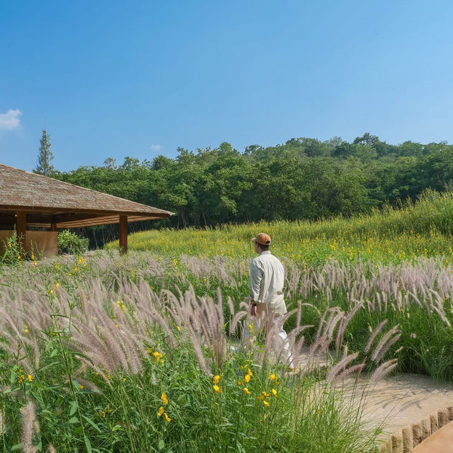 เปิดประสบการณ์ชมงานศิลป์กลางป่าใหญ่🌿