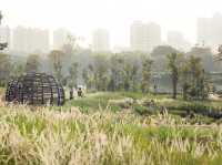🌿 Escape to Nature: A Perfect Day at Jurong Lake Gardens, Singapore  