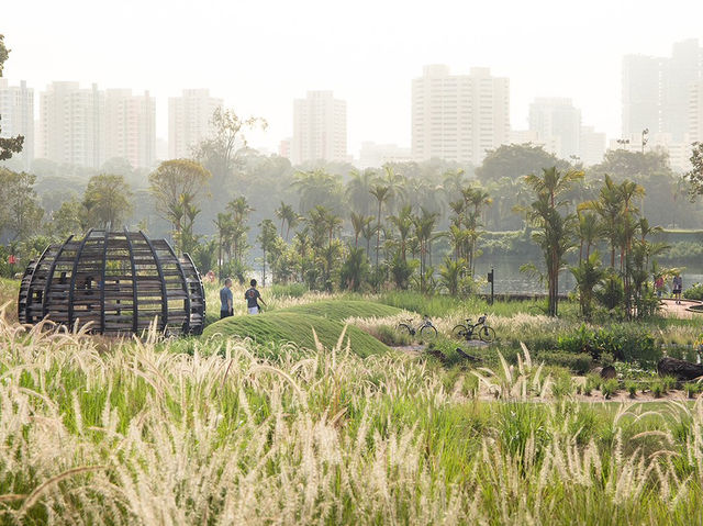 🌿 Escape to Nature: A Perfect Day at Jurong Lake Gardens, Singapore  