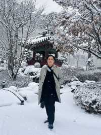 Winter wonderlanc