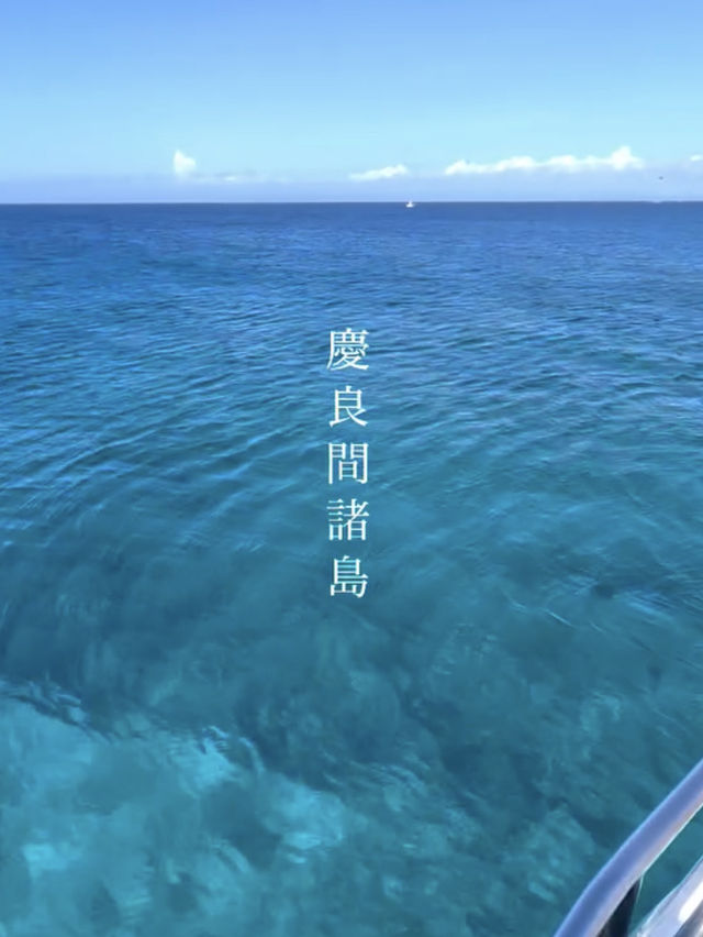 船でしか見れない❗️混雑皆無の沖縄絶景