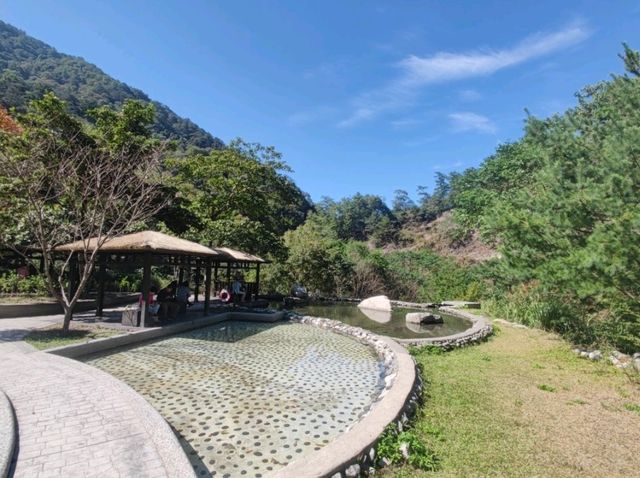 #八仙山國家森林遊樂區- 臺中市和平區