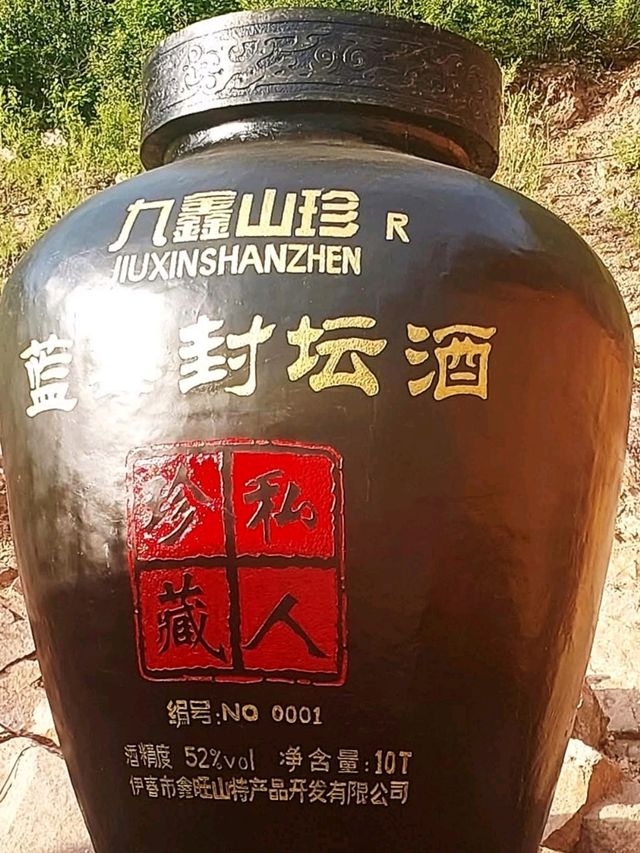 九鑫山珍洞藏酒窖藍苺酒