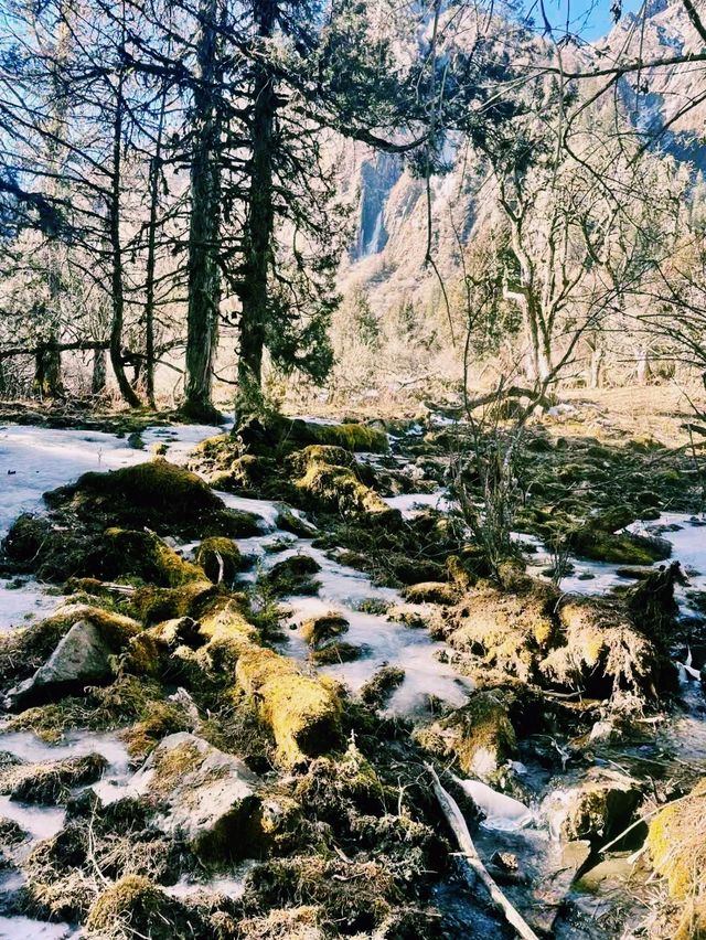 中國四川阿壩著名景點：四姑娘山，適合徒步打卡拍照📸