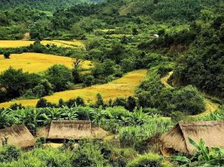 🌿 Sam Nuea Secrets: Waterfalls, War History & the Most Remote Lao Coffee You’ll Ever Taste ☕