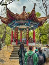 Spring Reflections in the City: A Stroll Through Kunming’s Green Lake Park