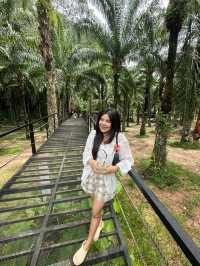 Baan Chang Café  จ.กระบี่