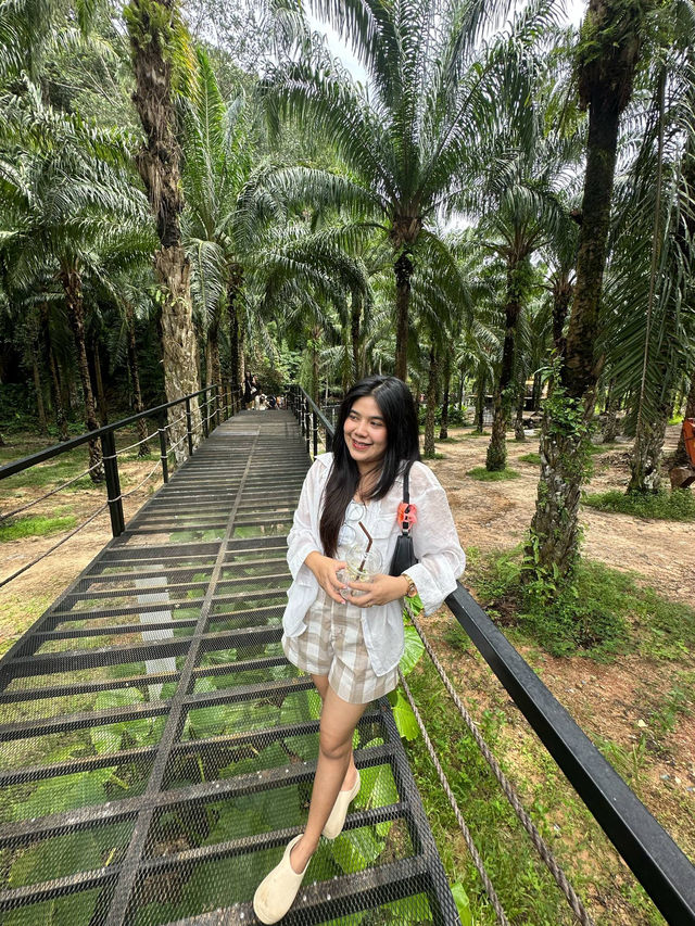 Baan Chang Café  จ.กระบี่