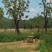% ARABICA • Khaoyai Art Forest, Khaoyai  🌳🪵🌸🌨🌾