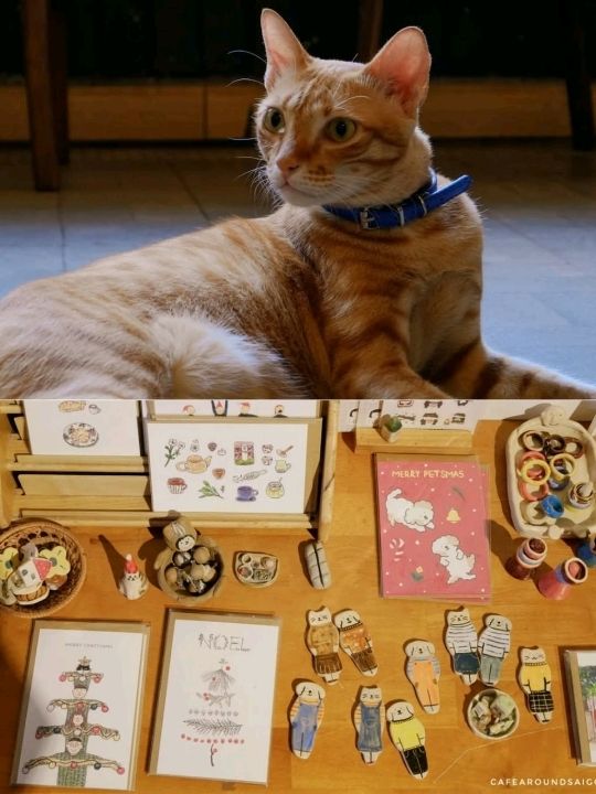 Cafe Haru