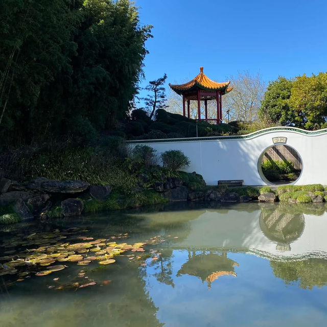 Garden Adventure – Hamilton Gardens in Full Bloom