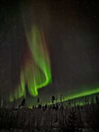 The Ultimate Arctic Wonderland