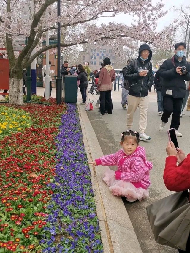 Zhanqiao Park: A Timeless Icon at Qingdao’s Seaside Heart