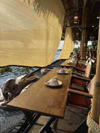 รักษ์น้ำคาเฟ่ คาเฟ่ริมแม่น้ำท่าจีน สุดชิล สามพราน