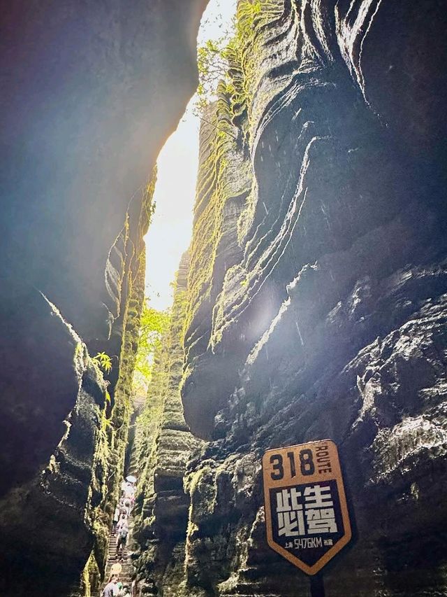 Nature’s Rock Party