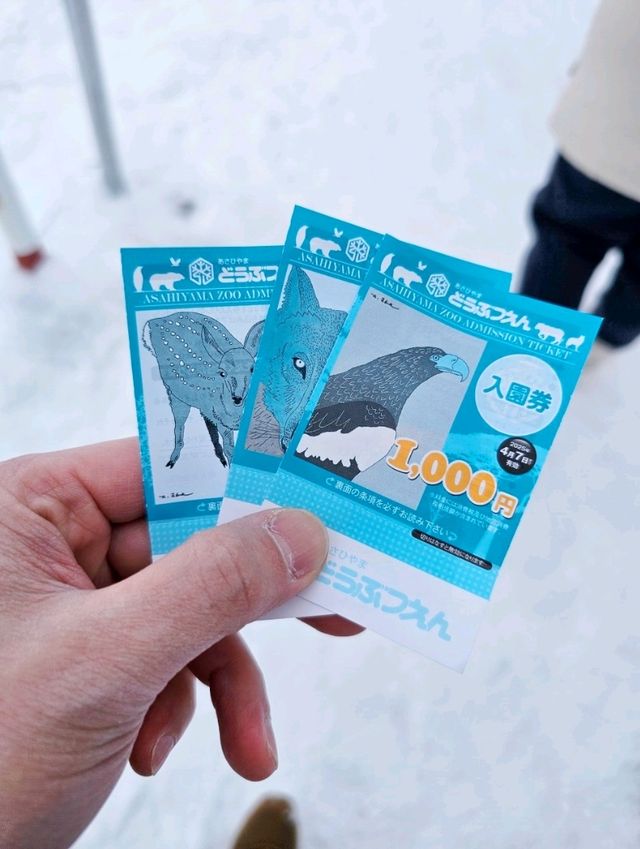 Asahikawa Winter Escape: Snow Sculptures, Penguins & Private Onsen Bliss