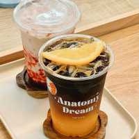 Anatomy Dream เป็นโฮมคาเฟ่เล็กๆ เมืองน่าน
