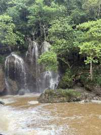沙唄市必去的貓貓村