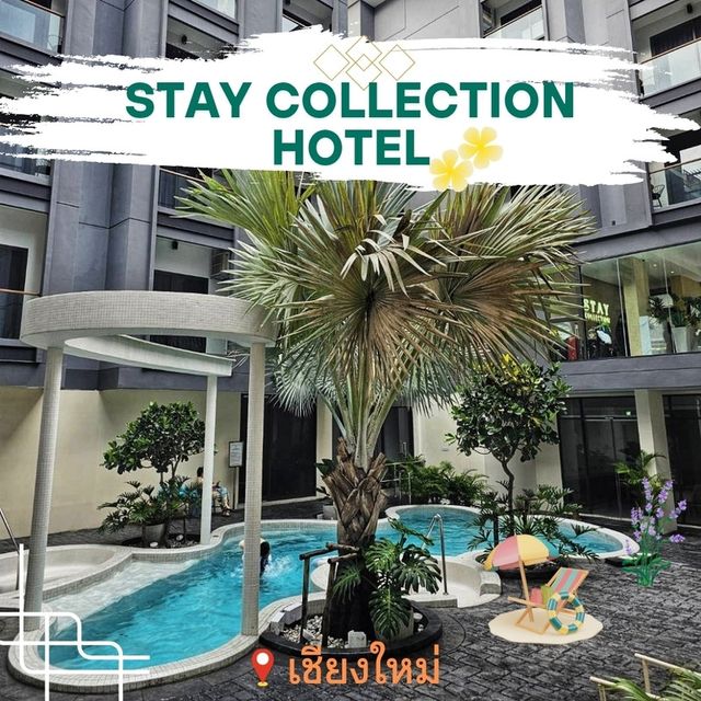 ✨️Stay Collection | Chiang Mai ✨️