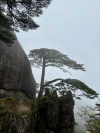 Breathtaking Natural Beauty mount Huangshan! 