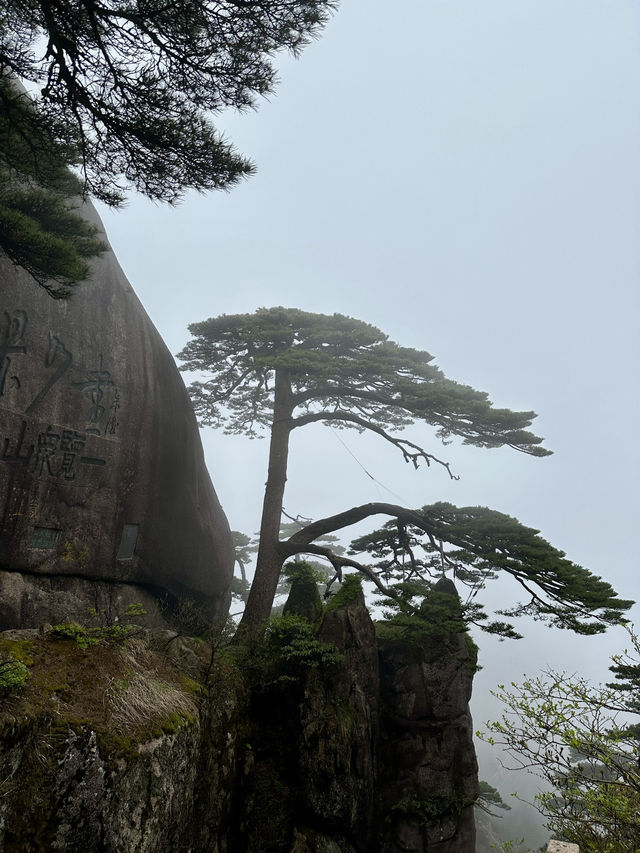 Breathtaking Natural Beauty mount Huangshan! 
