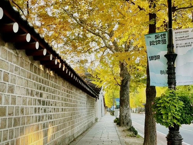 韓國🇰🇷德壽宮