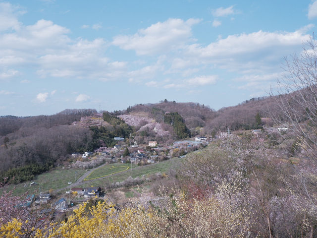 JR東日本鐵路周遊券：福島賞櫻 