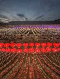 A Festival of Lights and Culture: Welcoming Spring at 德教会, Kluang