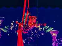 AQUA CIRCUS PHUKET - ท่องโลกปาฎิหาริย์เหนือสายน้ำ