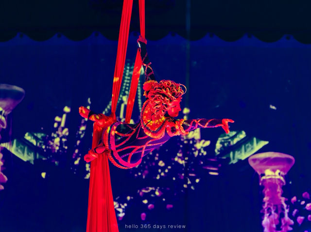 AQUA CIRCUS PHUKET - ท่องโลกปาฎิหาริย์เหนือสายน้ำ