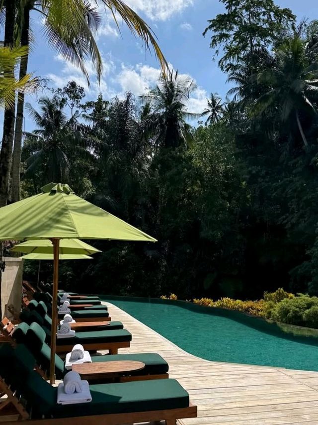 🍽️ A Feast in the Forest – Dining at Four Seasons Resort Bali at Sayan