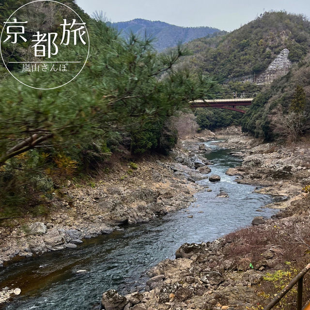 【京都】絶景列車と舟旅で楽しむ、嵐山1日満喫コース