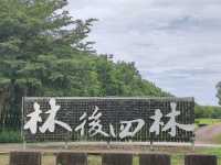 #林後四林平地森林園區-屏東縣潮州鎮