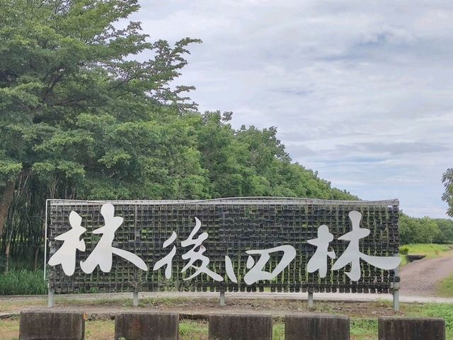 #林後四林平地森林園區-屏東縣潮州鎮