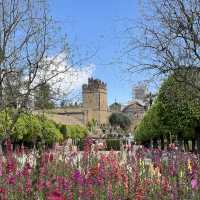 Cordoba เมืองมรดกโลกกลิ่นอายโรมันผสมแขกมัวร์