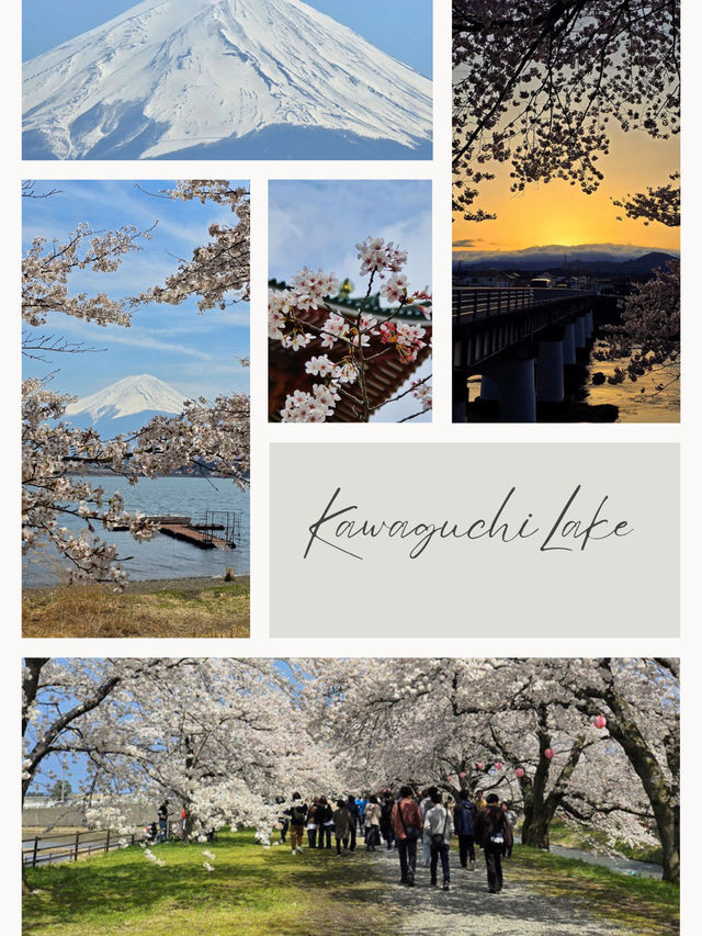 From Kawaguchi to Atami via Shizuoka