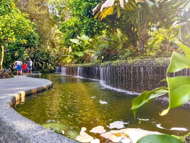 The Rainforest at Singapore Botanic Gardens – A Walk Through Ancient Nature