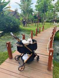 Beautiful restaurant in Siem Reap!