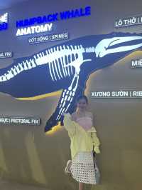 18 Meters of Whale Wonder 🐋 😲