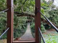 Kota Kinabalu's Hidden Charms: Explore Culture & Iconic View
