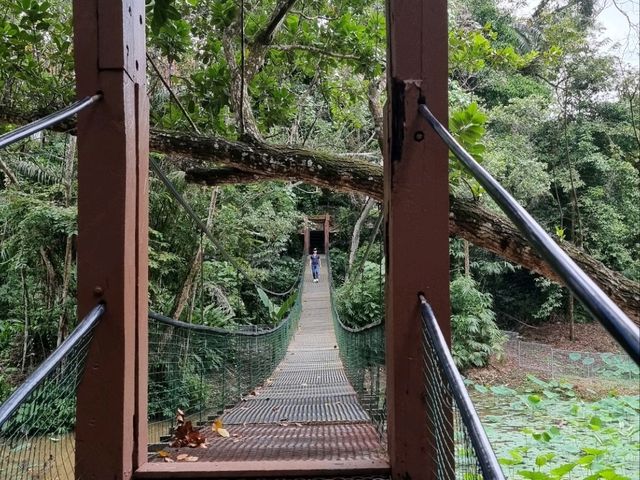 Kota Kinabalu's Hidden Charms: Explore Culture & Iconic View